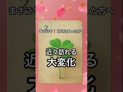 【まさに今❗️目に止まった方へ】占いタロットルノルマン美音タロット サムネイル