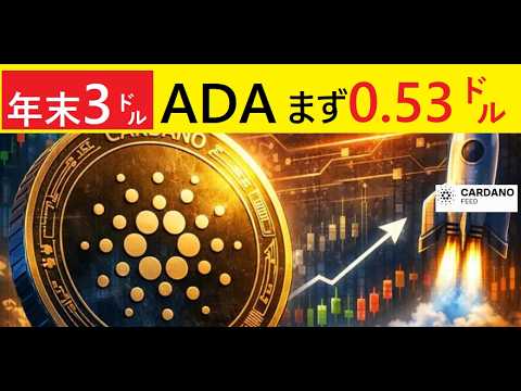 【中堅投資家】カルダノ年末3㌦前にまず0.53㌦へ（翻訳要約）