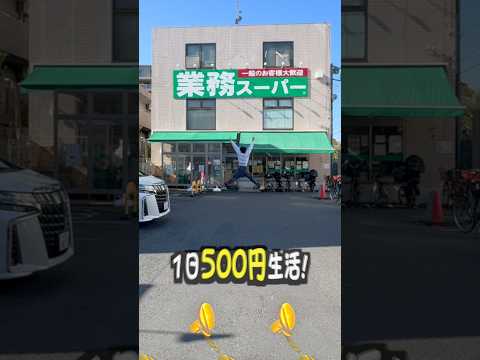 【第3弾】節約オタクが1日500円で生活してみた サムネイル