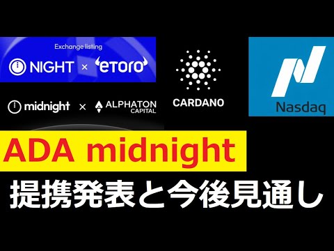 【中堅投資家】midnight（カルダノ）株価を25％押し上げる影響力 サムネイル