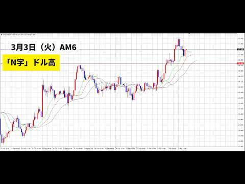 【中堅投資家】FX：N字ドル高トレンドの見込み サムネイル