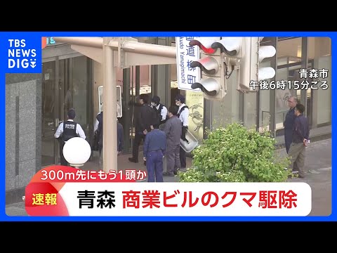 商業ビル居座りのクマ1頭を駆除　青森市中心部で　約300m離れた駐車場でもクマが目撃…別の個体の可能性あり　引き続き注… サムネイル