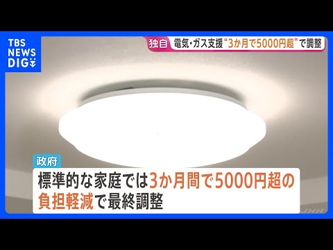 電気・ガス料金支援“3か月間で5000円超の負担軽減”で最終調整　3兆円規模の補正予算案の全容判明｜TBS NEWS… サムネイル