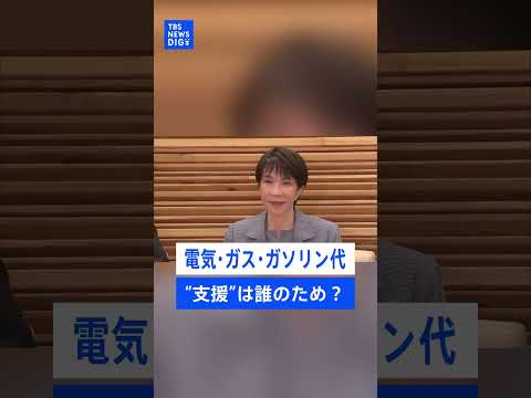 総額15兆円投入の“支援”は支持率のため？「6月末に財源枯渇」試算でも電気・ガス・ガソリンの補助を継続する理由【記者が…