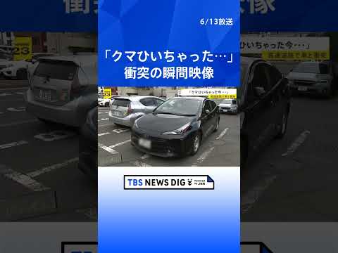 【ドラレコ映像】岩手・東北道を走行中の車にクマが衝突　中央分離帯から突然の飛び出し バンパーが割れ車体には毛が付着　2…