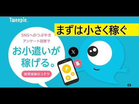 【中堅投資家】Xの利用でお金を稼ぐ方法tweepie（フォロワー1000人程度） サムネイル