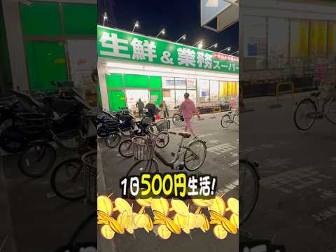 【第2弾】節約オタクが1日500円で生活してみた サムネイル