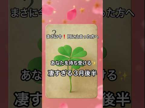 【まさに今❗️目に止まった方へ】 占い タロットルノルマン美音タロット サムネイル