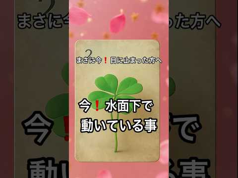 【まさに今❗️目に止まった方へ】 占い タロットルノルマン美音タロット サムネイル