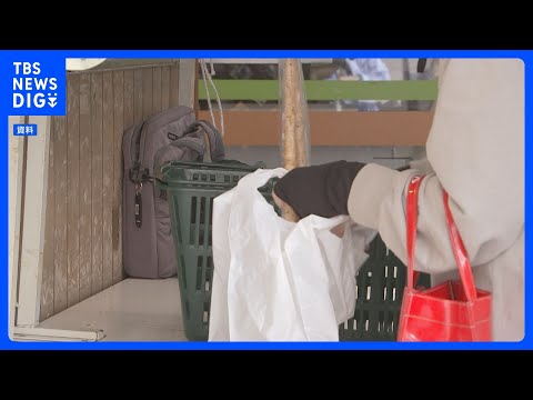食料品の消費税1％案　自民党が月内のとりまとめを断念へ｜TBS NEWS DIG
