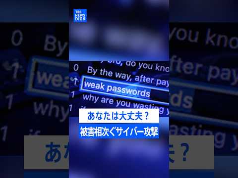 【そのパスワード、何年変えていませんか？】世界で相次ぐサイバー犯罪　入り口は「めんどくさい」？初歩的なミスが被害招くケ… サムネイル