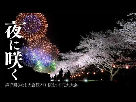 【ハイライト】桜&times;花火　春の夜空を彩る大輪の華　第17回ひたち大宮辰ノ口 桜まつり 花火大会（2026年4月4日）