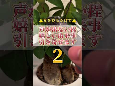 何度も見ると願いが叶いやすくなります。感謝の心も忘れずに願望をコメントをして下さいね。開運  運気  運気上昇 運気ア… サムネイル