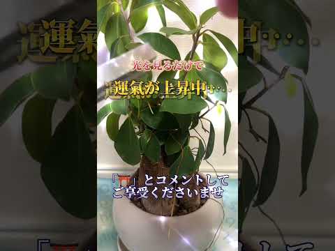 何度も見ると願いが叶いやすくなります。感謝の心も忘れずに願望をコメントをして下さいね。開運  運気  運気上昇 運気ア… サムネイル