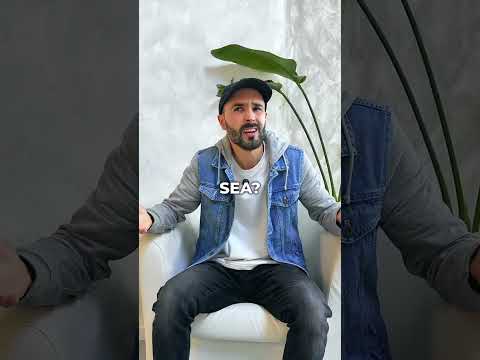 🎁 Comenta "REGALO" y te envío mi Guía (GRATIS). SEO: consig…