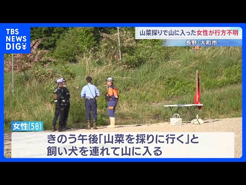 「山菜を採りに行く」山に入った50代女性が行方不明　飼い犬も見つからず　長野・大町市｜TBS NEWS DIG サムネイル