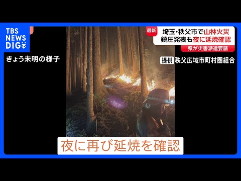 きのう鎮圧も夜に再び延焼　埼玉・秩父市の山林火災「集落の上のあたりから火が発生したような」 自衛隊に災害派遣要請｜TB… サムネイル