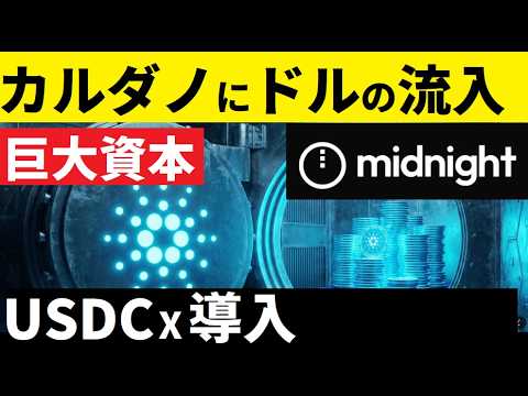 【中堅投資家】USDCｘステーブルコインでADAの本領発揮（要約翻訳） サムネイル