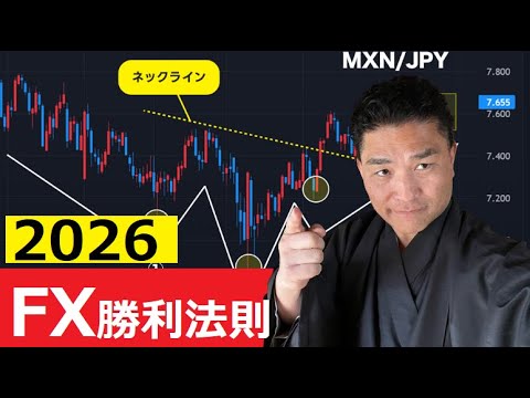 【中堅投資家】FX：2025年勝利のまとめ敗北の理由 サムネイル
