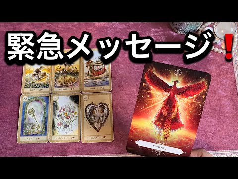 【12/20に見て欲しい❗️この今日✨あなたに急いで伝えたい🌚🏇緊急メッセージ💌】ルノルマン占い🩷ガッツリ読み解きます サムネイル