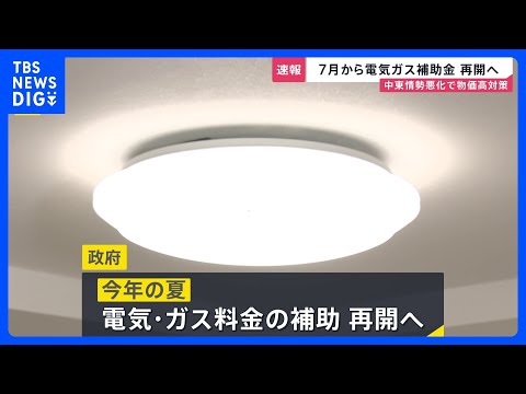 電気・ガス料金の補助　政府が再開検討 7月～9月までの使用分対象の方向｜TBS NEWS DIG サムネイル