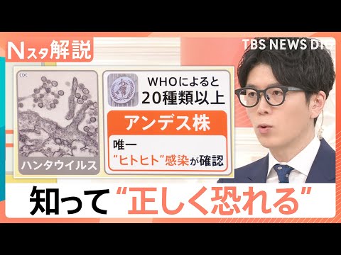 クルーズ船の乗客世界各地へ…感染が広まる心配は？　ハンタウイルス「アンデス株」を知り“正しく恐れる”【Nスタ解説】｜T… サムネイル