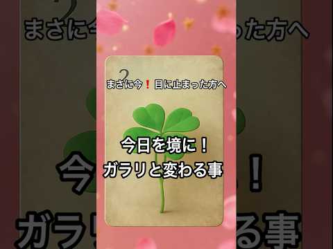 【まさに今❗️目に止まった方へ】 占い タロットルノルマン美音タロット