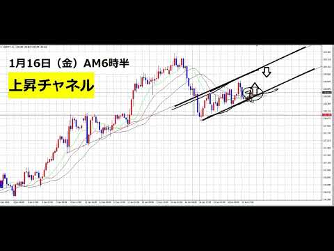 【中堅投資家】FX：上昇チャンネルを維持で検討 サムネイル