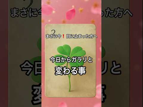 【まさに今❗️目に止まった方へ】 占い タロットルノルマン美音タロット サムネイル