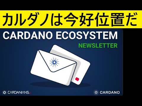 【中堅投資家】カルダノの深い話（ニュースレター＃123） サムネイル