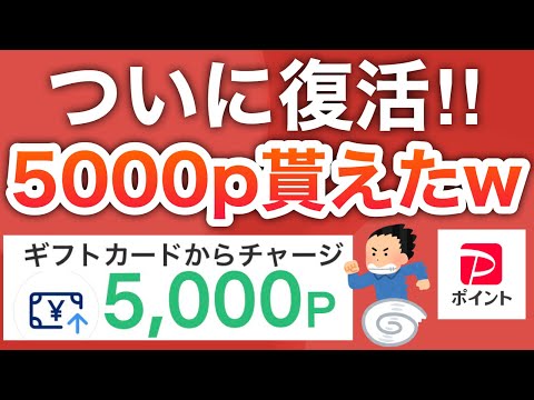 【急げ】PayPay5000p大配布キタ‼︎早期終了前に受け取って💨 サムネイル