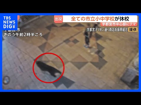 「一目で鳥肌が立った」カメラが捉えた疾走するクマ…目撃情報相次ぐ　すべての市立小中学校が臨時休校 “中学校の校庭でも目…