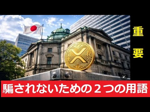 【中堅投資家】XRPは日本に先行優位性があるという見解 サムネイル