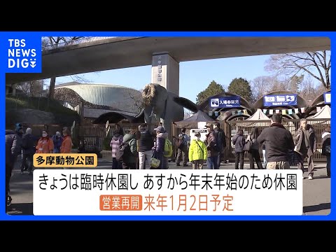 園内脱走したオオカミ1頭を捕獲　多摩動物公園　園はきょう（28日）臨時休園　年内の営業は終了　営業再開は1月2日予定… サムネイル