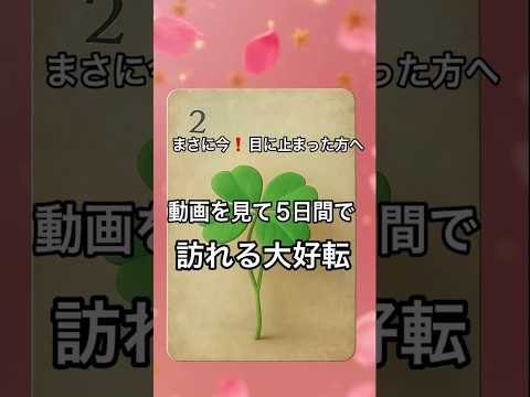 【まさに今❗️目に止まった方へ】 占い タロット ルノルマン美音タロットオラクルカード 美音