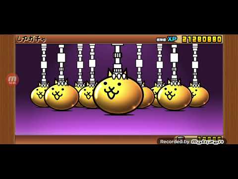 元旦から超極ネコ祭りガチャを回したらいいことあるでしょ！！酔っ払いノーカット版 サムネイル