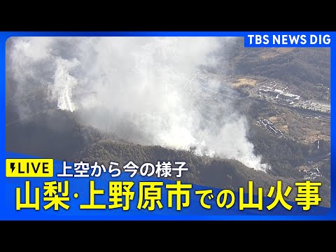 【ライブ】山梨･上野原市での山火事　上空から今の様子（2026年1月9日午前 LIVE配信）｜TBS NEWS DIG サムネイル