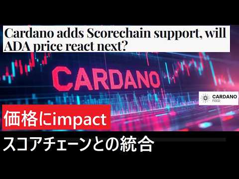 【中堅投資家】スコアチェーンと統合のADA「価格への影響」（翻訳要約） サムネイル