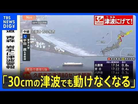 「人は30センチの津波でも動けなくなる」津波警報が岩手県、青森県太平洋沿岸・北海道太平洋沿岸中部に発表　東京大学･平田… サムネイル