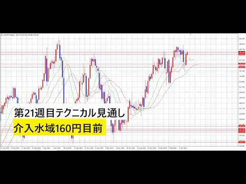 【中堅投資家】FX：第21週目テクニカル見通し「緩やかにドル高」 サムネイル