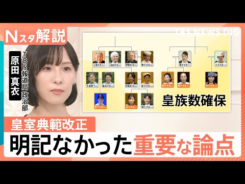 安定的な皇位継承へ皇室典範改正　大きな２つの課題と明記されなかった重要な論点【Nスタ解説】｜TBS NEWS DIG