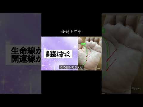 金運が上昇する人が持つ手相とは？ 今日から開運 手相 占い 手相占い サムネイル