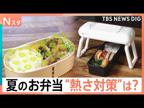 【夏の弁当作り 注意点は？】季節外れの暑さ「お弁当事情」調査、忙しい朝の粗熱対策 5分で解消【Nスタ解説】｜TBS N…