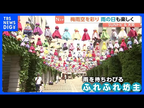 “雨を待ちわびる”およそ1500個もの「ふれふれ坊主」梅雨を楽しく　忘れ物の傘を再利用「八ヶ岳ふれふれスカイ2026」… サムネイル