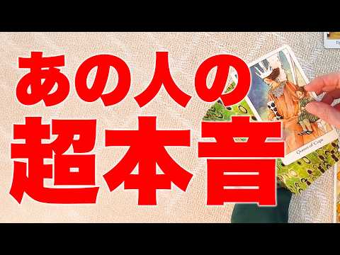 【もう苦しまなくていいよ】あの人の超本音と、あなたに奇跡が舞い込む理由を占います🪽✨ サムネイル