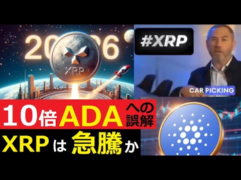 【中堅投資家】カルダノ10倍説とXRP10,000㌦への急騰説 サムネイル