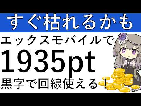 【すぐ枯れるかも】エックスモバイルが新規の人は1935ptの黒字で回線が使えます！ サムネイル
