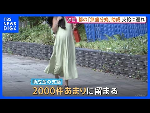 【独自】東京都の「無痛分娩」助成　“想定超える申請”で支給に遅れ　去年10月から“最大10万円”　都道府県で初｜TBS… サムネイル