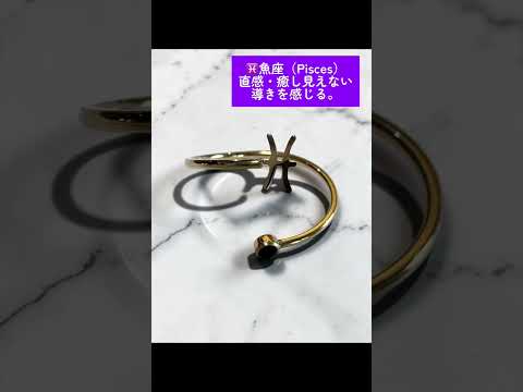 星巡りの護り｜12星座セレスティアルリング【願いを宿す守護石】 サムネイル
