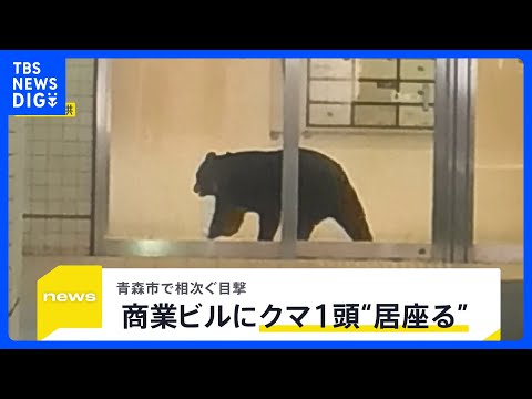青森市でクマ1頭がホテルなどが入る商業ビルで“居座り” 中心街に響いた2発の銃声…出没から約3時間後に緊急銃猟で駆除【…